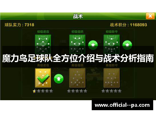 魔力鸟足球队全方位介绍与战术分析指南 魔力鸟足球队全方位介绍与战术分析指南