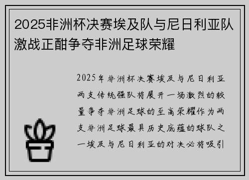 2025非洲杯决赛埃及队与尼日利亚队激战正酣争夺非洲足球荣耀